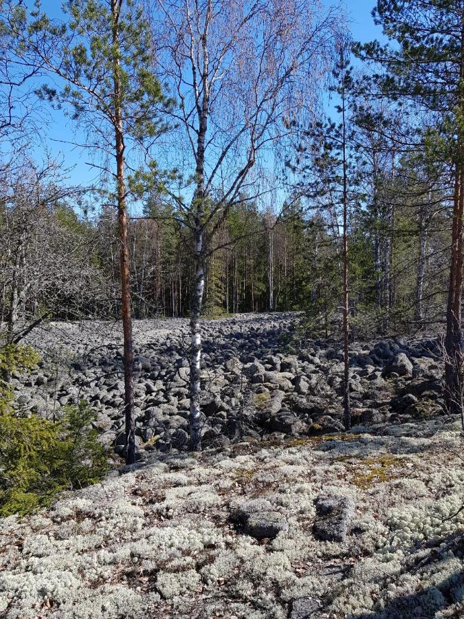 Lehmirannan Lomakeskus Hotell Salo  Exteriör bild